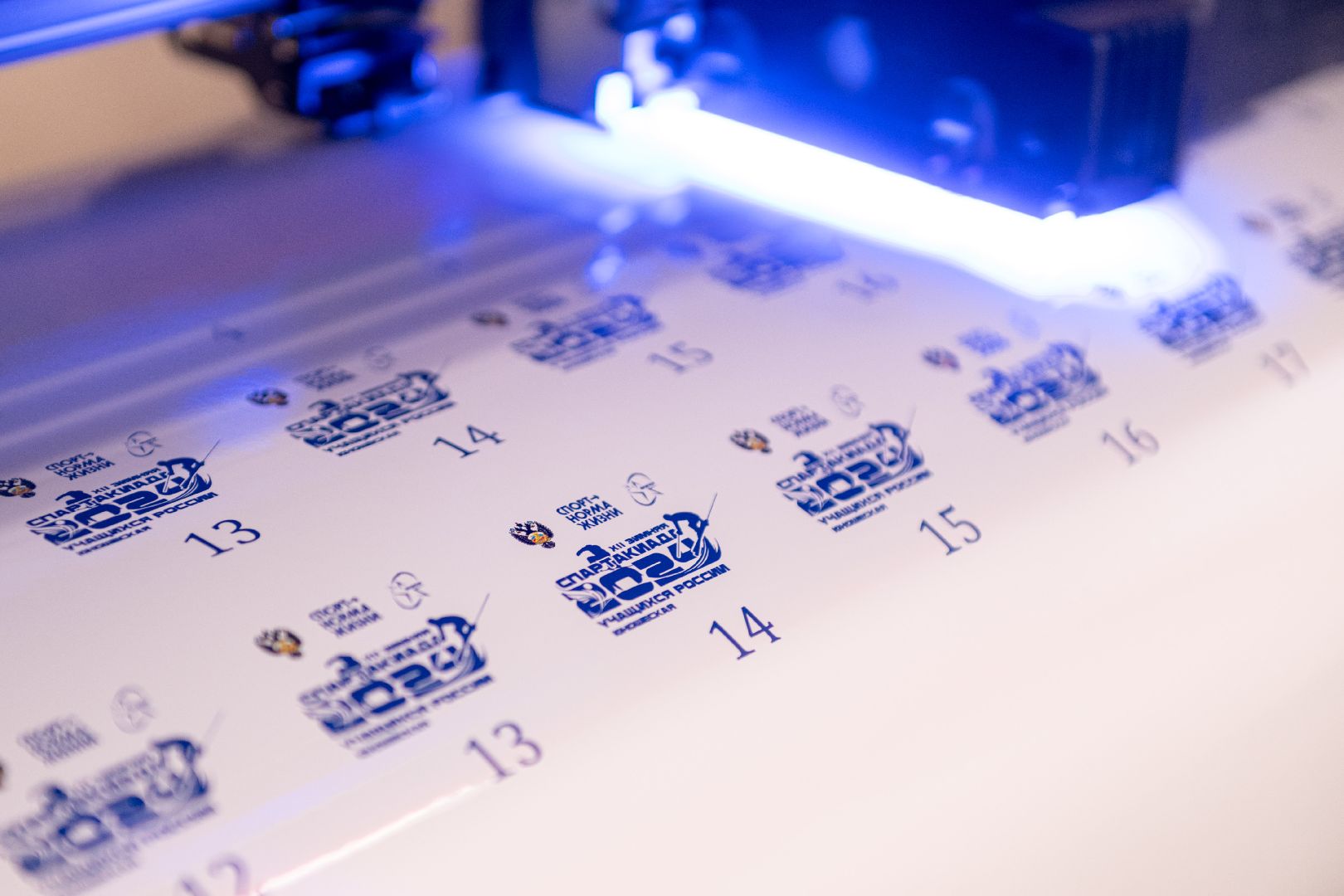 лыткарино, экономика, поддержка предпринимателей, субсидия,