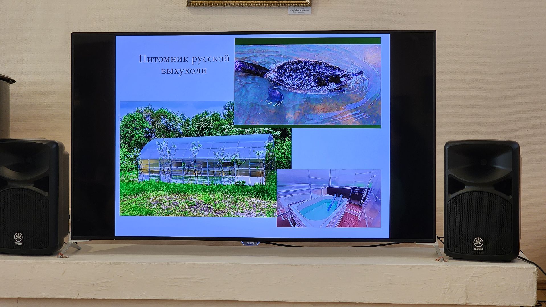 кашира, краеведческий музей, день науки, выставка, большое кропотово, биостанция, школьники, болотов, раткин, воронков,