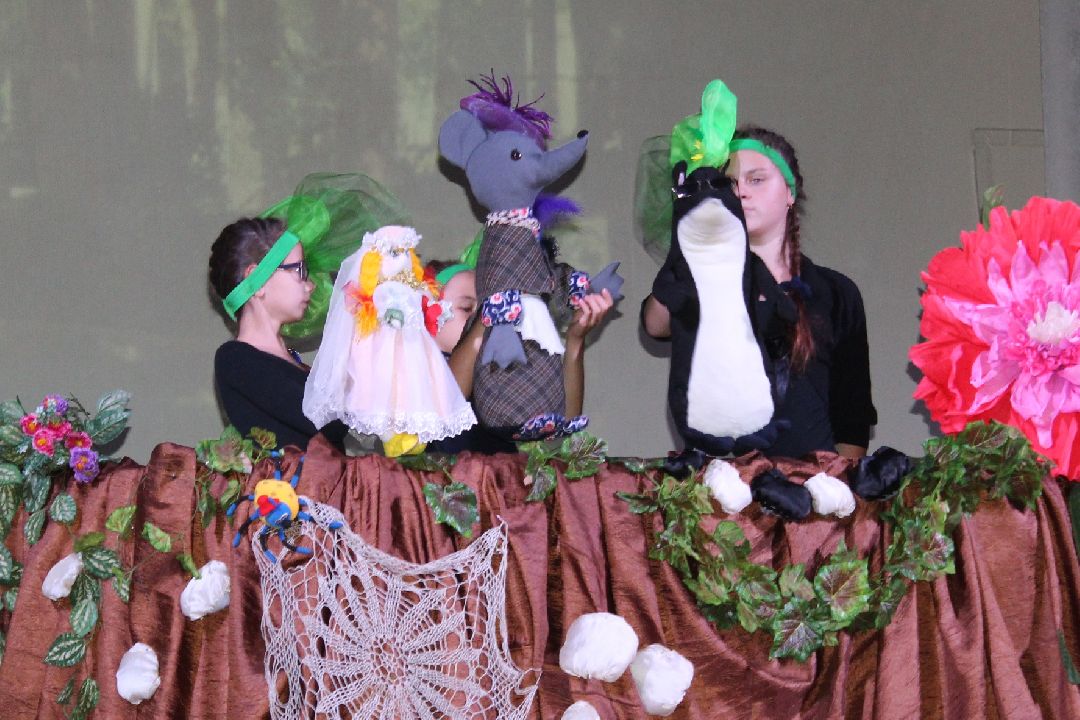 Домкультуры, Образование, Культура