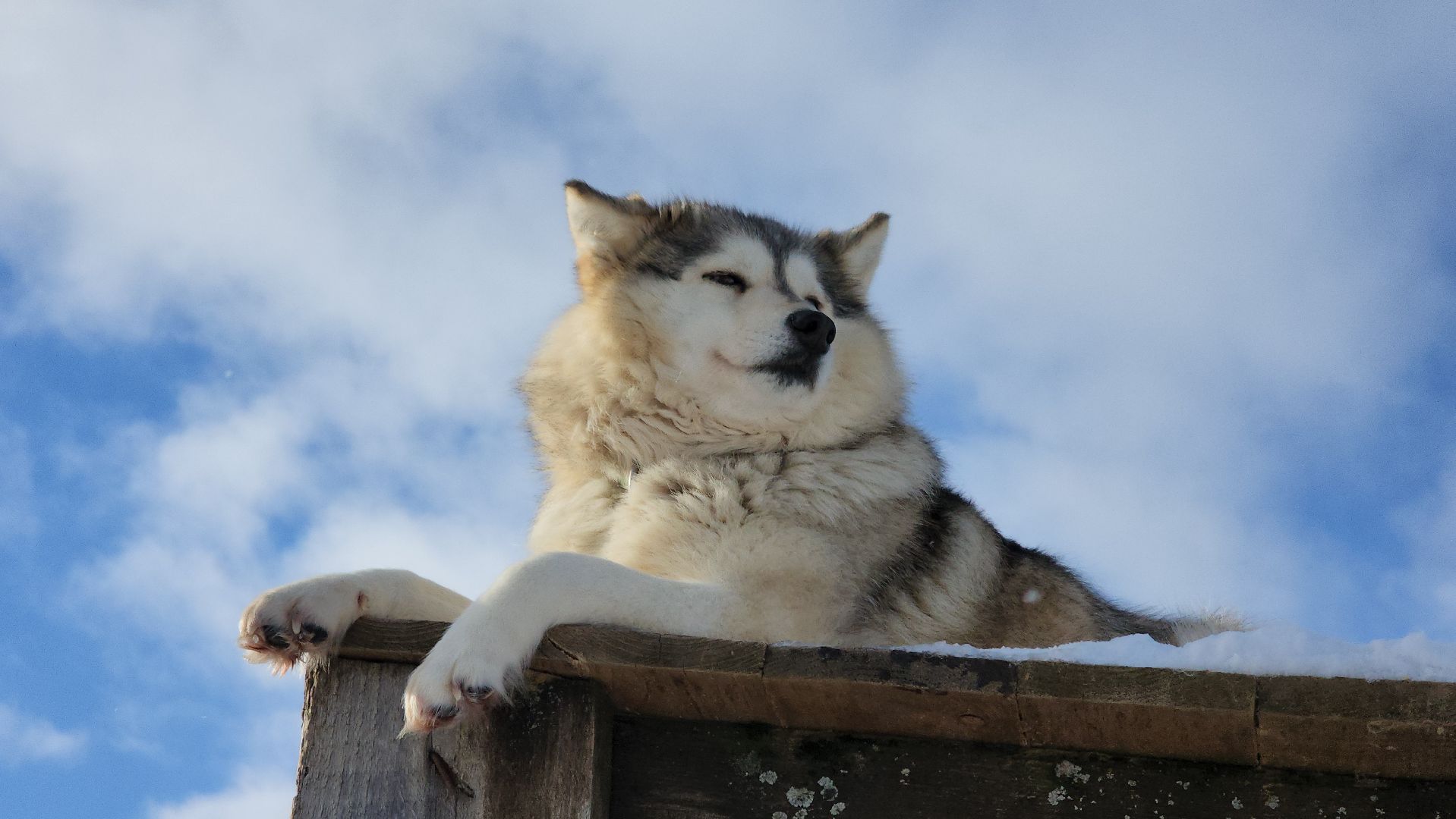 туризм в подмосковье, зима 2024, зима в подмосковье, руза, глэмпинг, рузский городской округ, московская область,