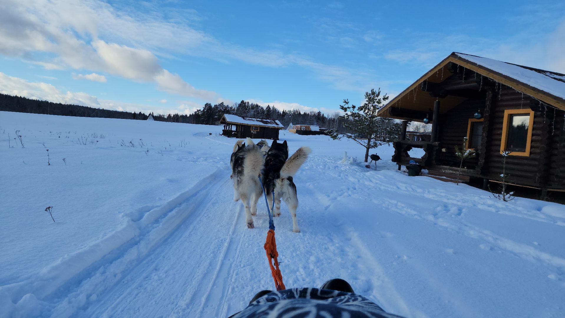 туризм в подмосковье, зима 2024, зима в подмосковье, руза, глэмпинг, рузский городской округ, московская область,