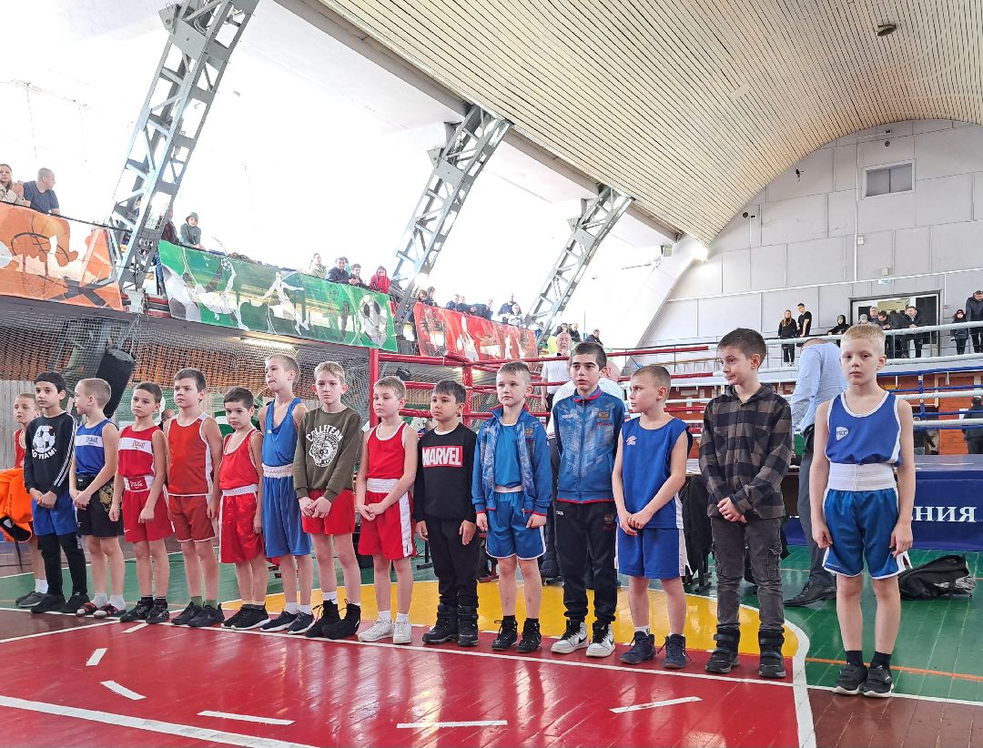 Спорт Бокс Первенство