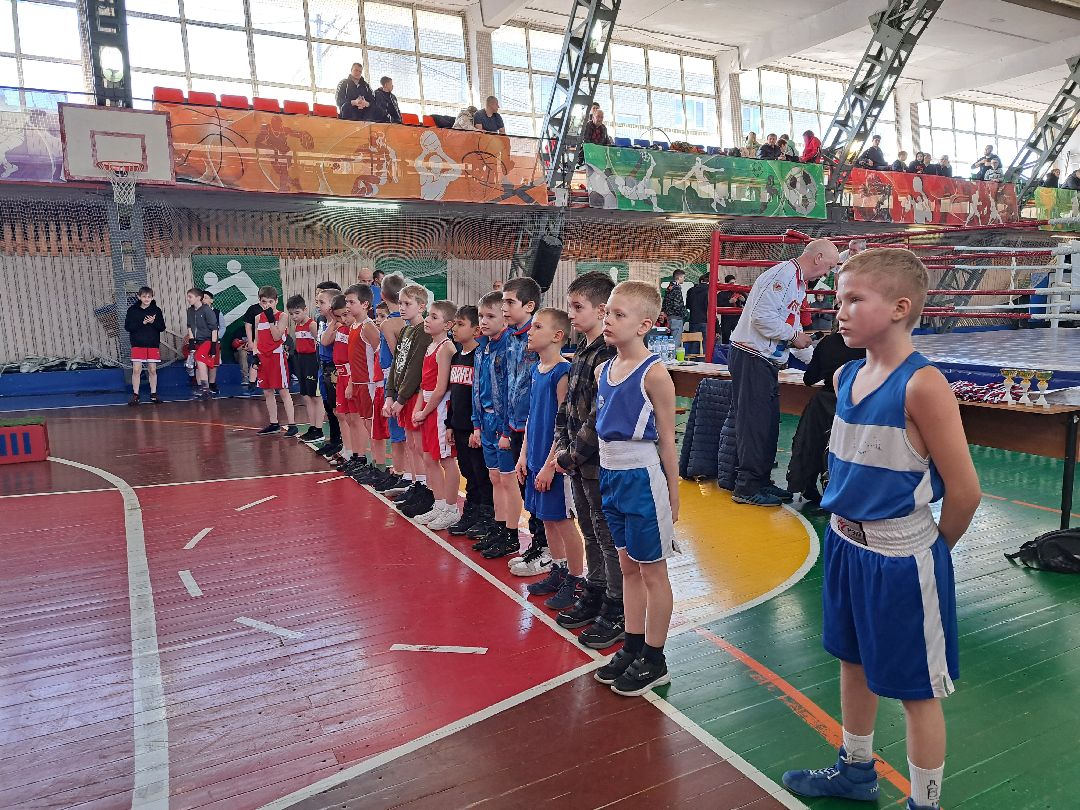 Спорт Бокс Первенство