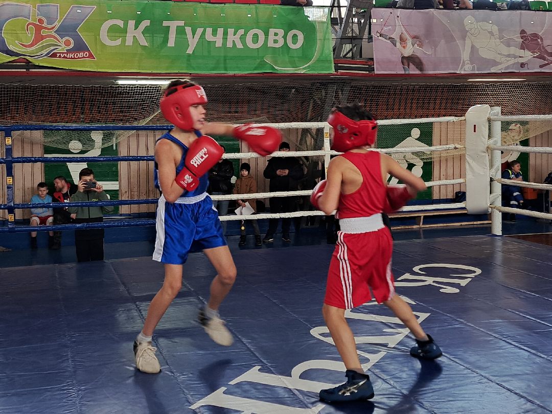 Спорт Бокс Первенство