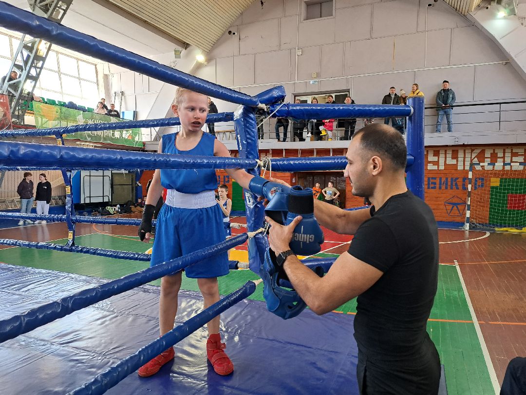 Спорт Бокс Первенство