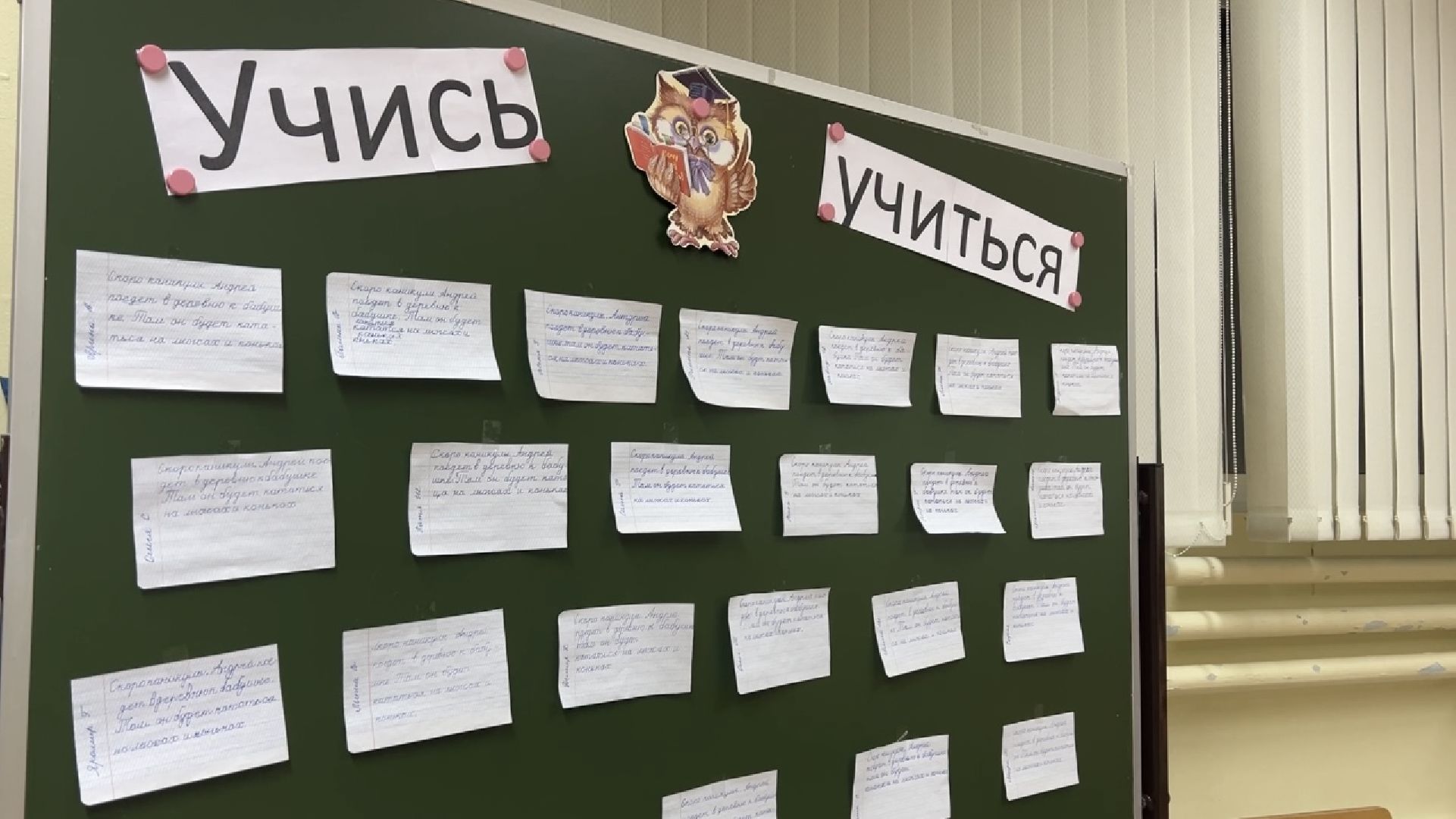 химки, образование, олимпиада школьников, школа, день науки,