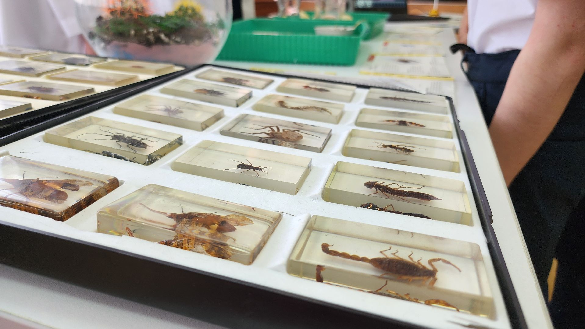 Егорьевск, Подмосковье, московская область, Выставка-форум, Наука,