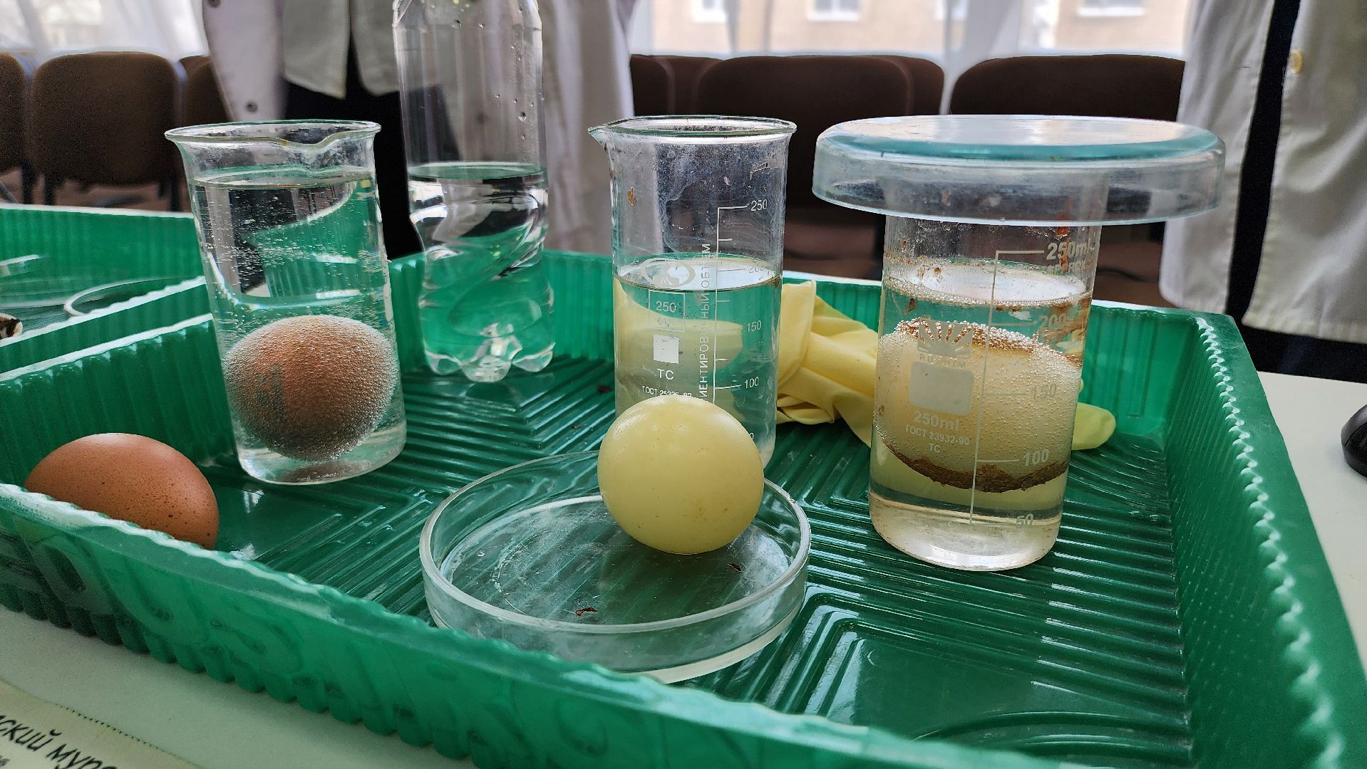 Егорьевск, Подмосковье, московская область, Выставка-форум, Наука,