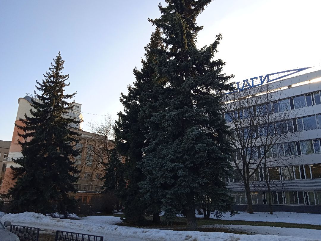 ЦАГИ, испытания, Ладога, самолёт, ТВРС