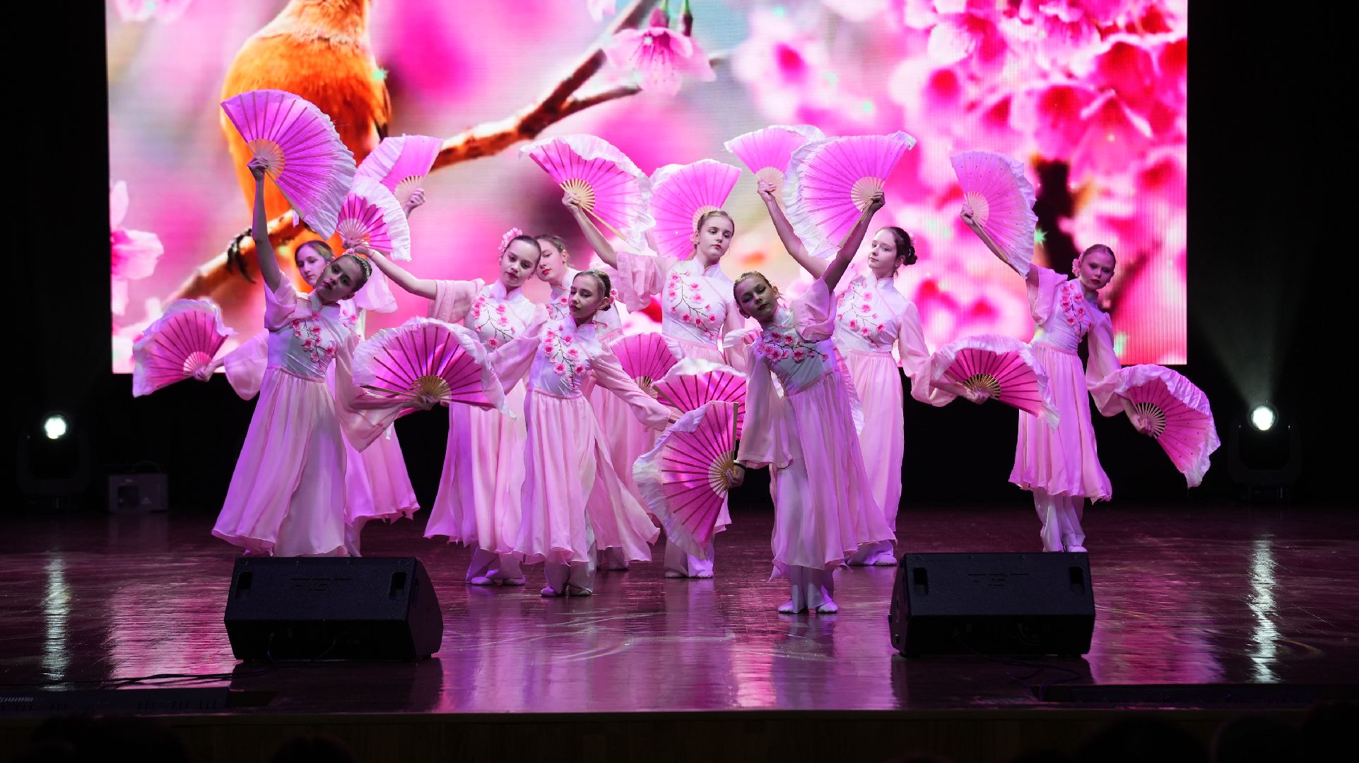 концерт, творческие коллективы, активное долголетие,