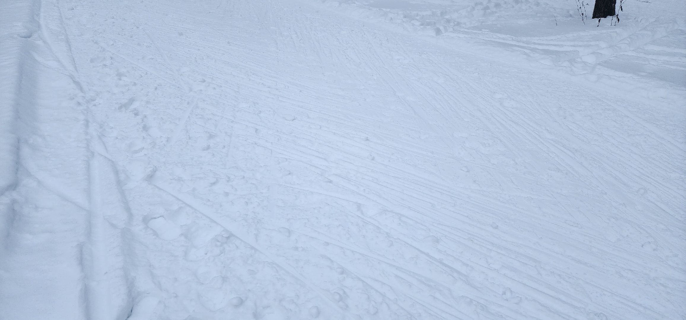 Коломна, туризм, поход, лыжи,