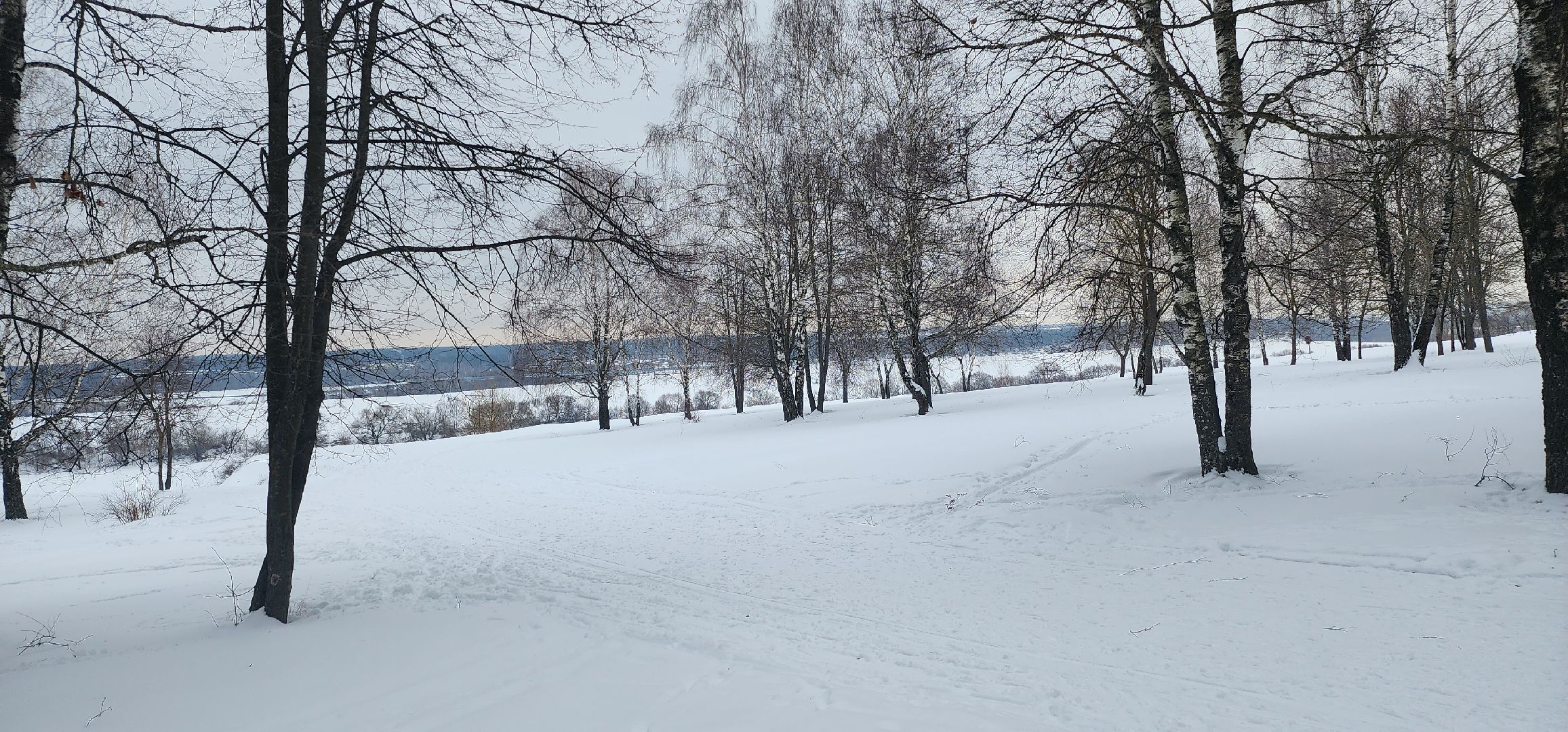 Коломна, туризм, поход, лыжи,