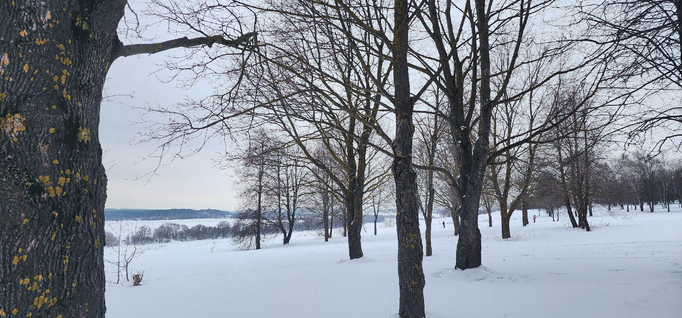 Коломна, туризм, поход, лыжи,
