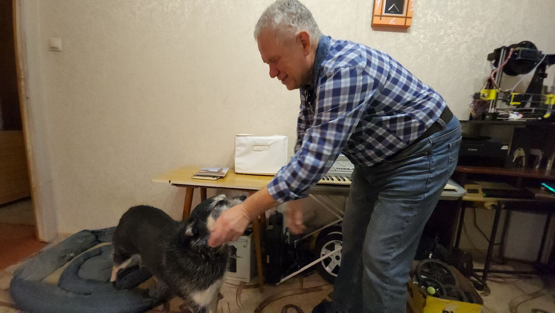 Серпухов, Подмосковье, Трынкины, конструктор, новая жизнь животных, собаки, кошки, мастер,