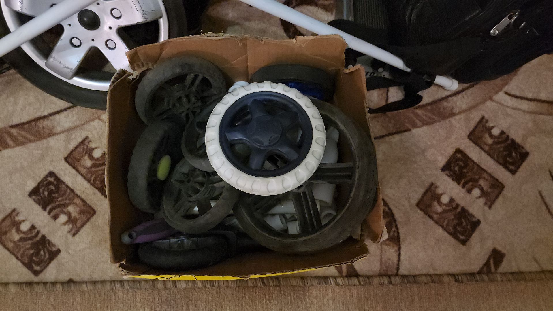 Серпухов, Подмосковье, Трынкины, конструктор, новая жизнь животных, собаки, кошки, мастер,