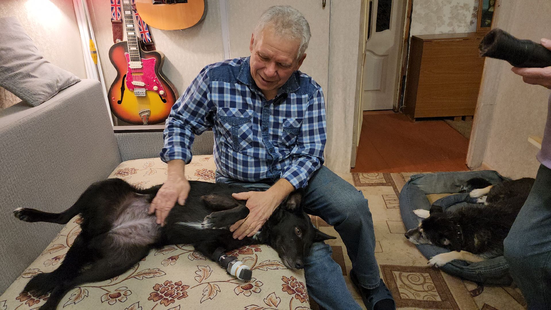 Серпухов, Подмосковье, Трынкины, конструктор, новая жизнь животных, собаки, кошки, мастер,