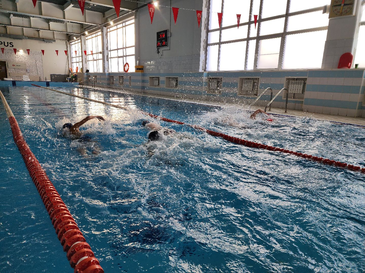 красноармейск, г.о. пушкинский, плавание, тренер,