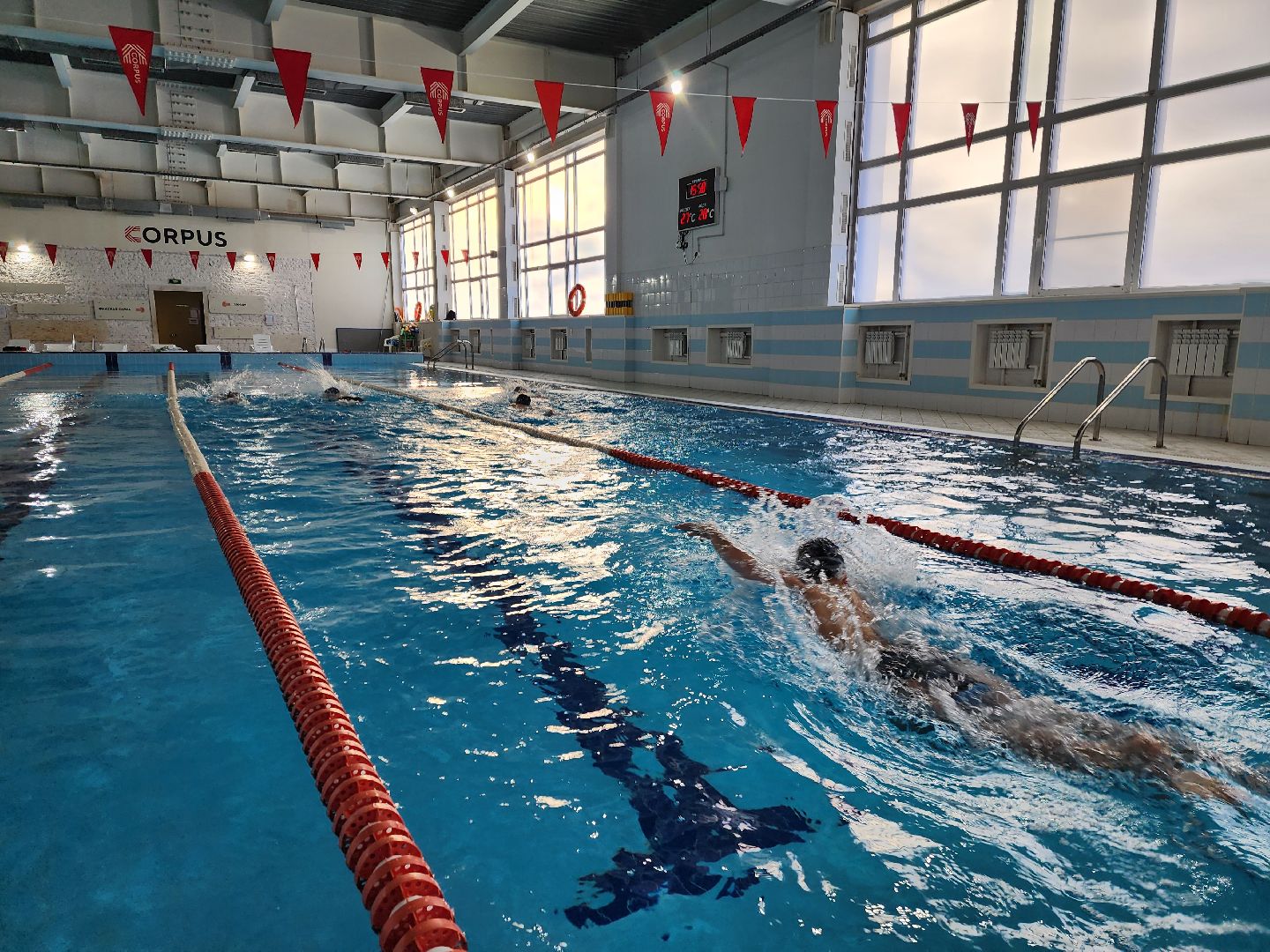 красноармейск, г.о. пушкинский, плавание, тренер,