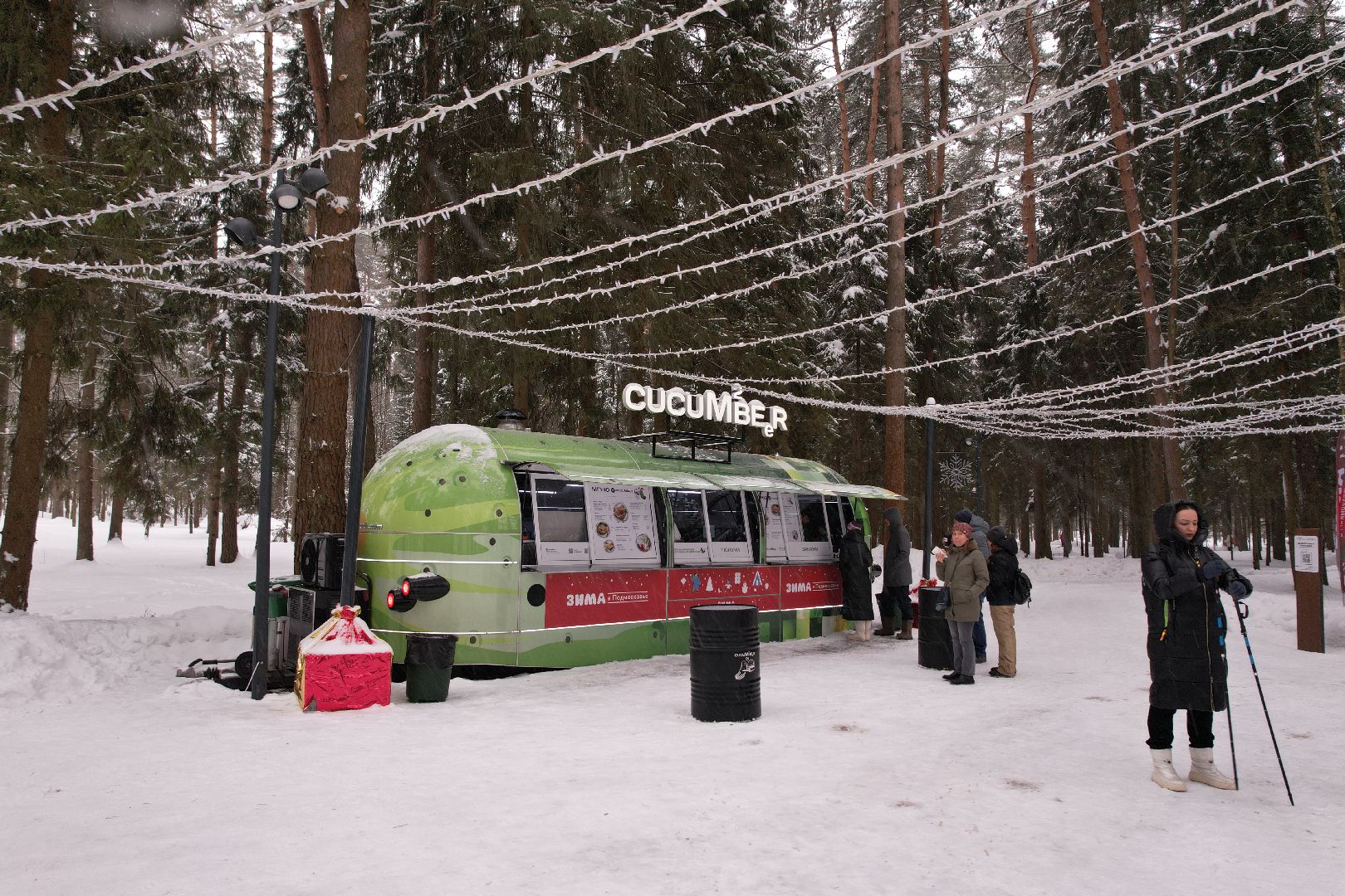 видео с коптера, благоустройство, парки, истра,