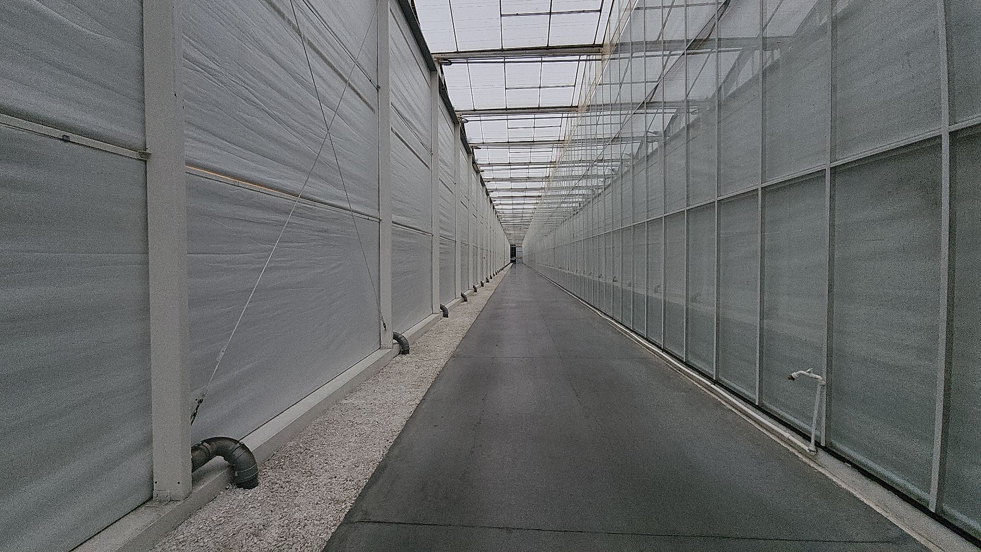 экономика, экономика округа, электросталь, мой город, овощи, овощеводство, теплицы, агрокомплекс, агрокластер, агроном, жители города,