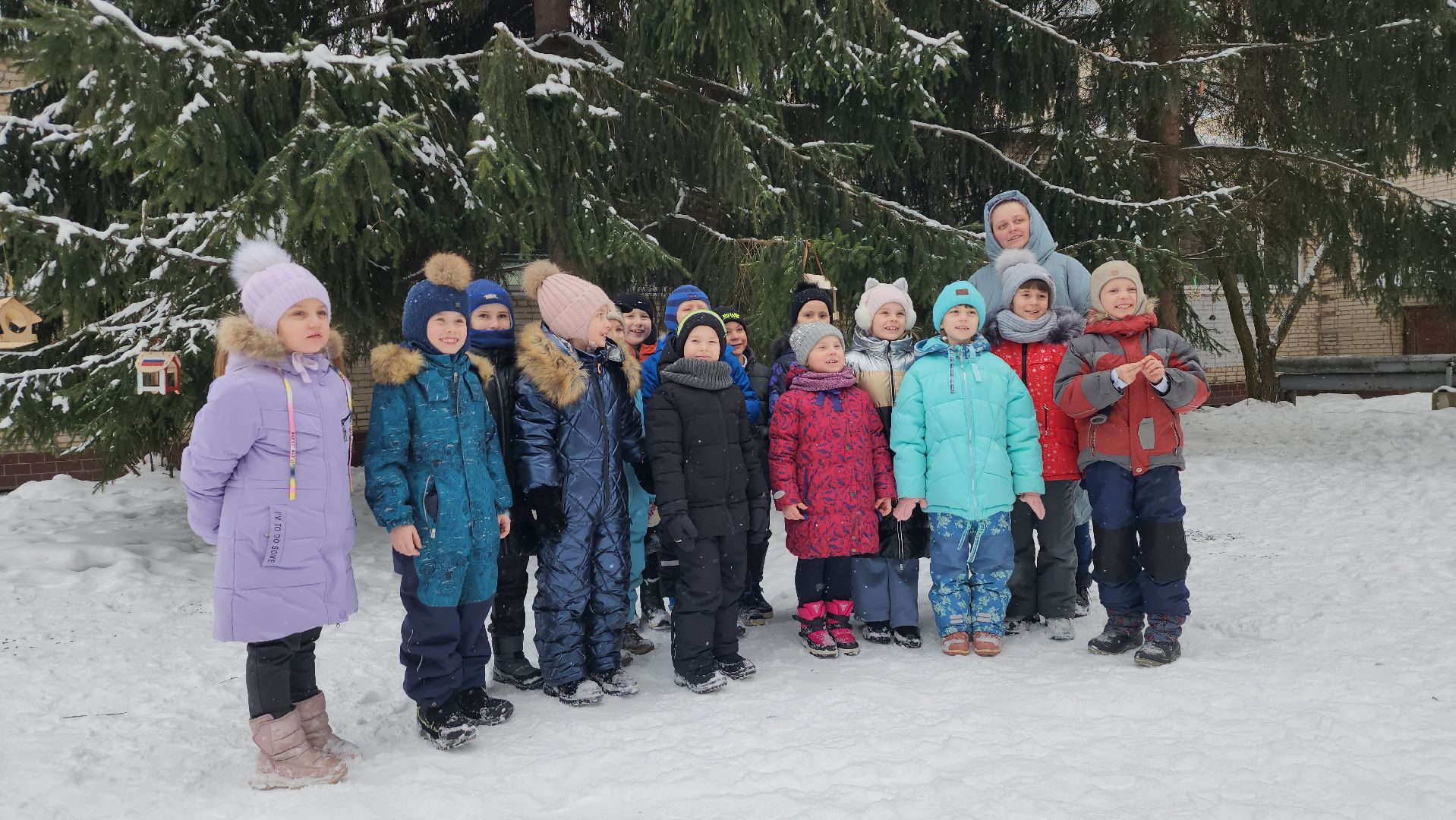 серпухов, гимназия №1, покормите птиц зимой, кормушка для птиц, акция, экология,