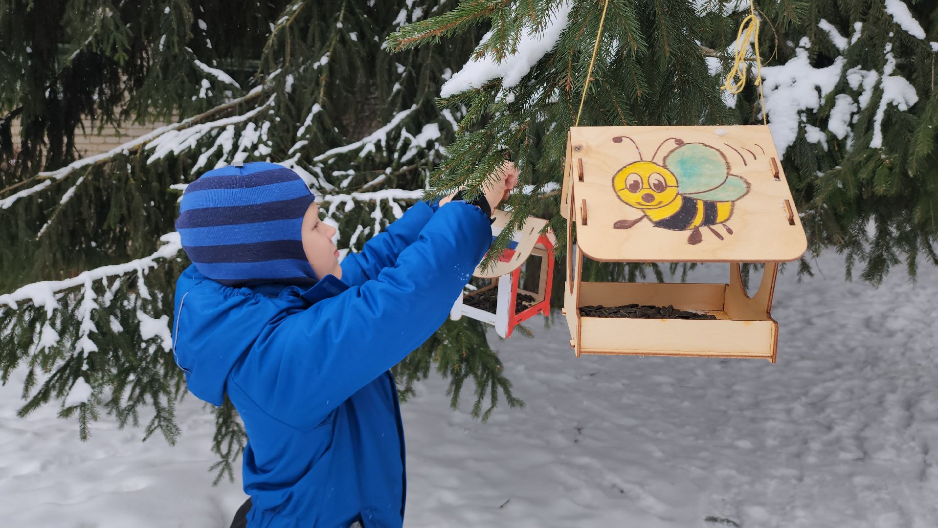 серпухов, гимназия №1, покормите птиц зимой, кормушка для птиц, акция, экология,