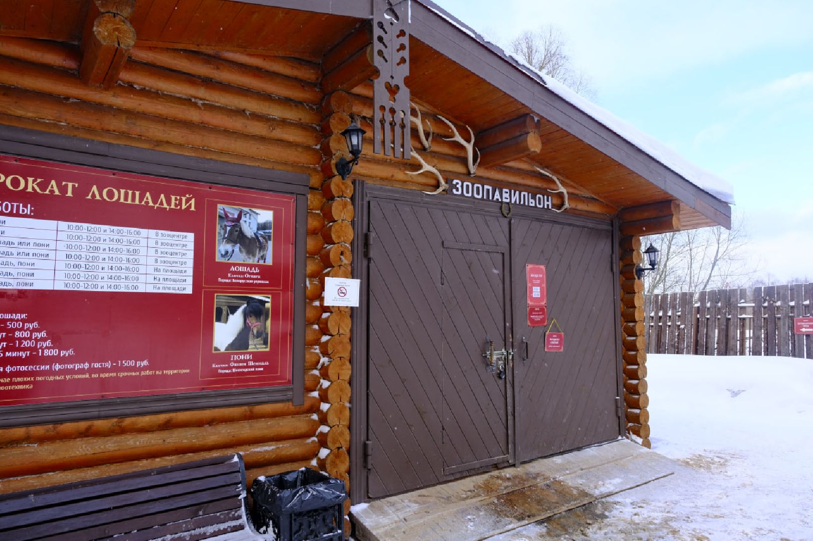 пущино, серпухов, экология, животные, красная книга, беременность,