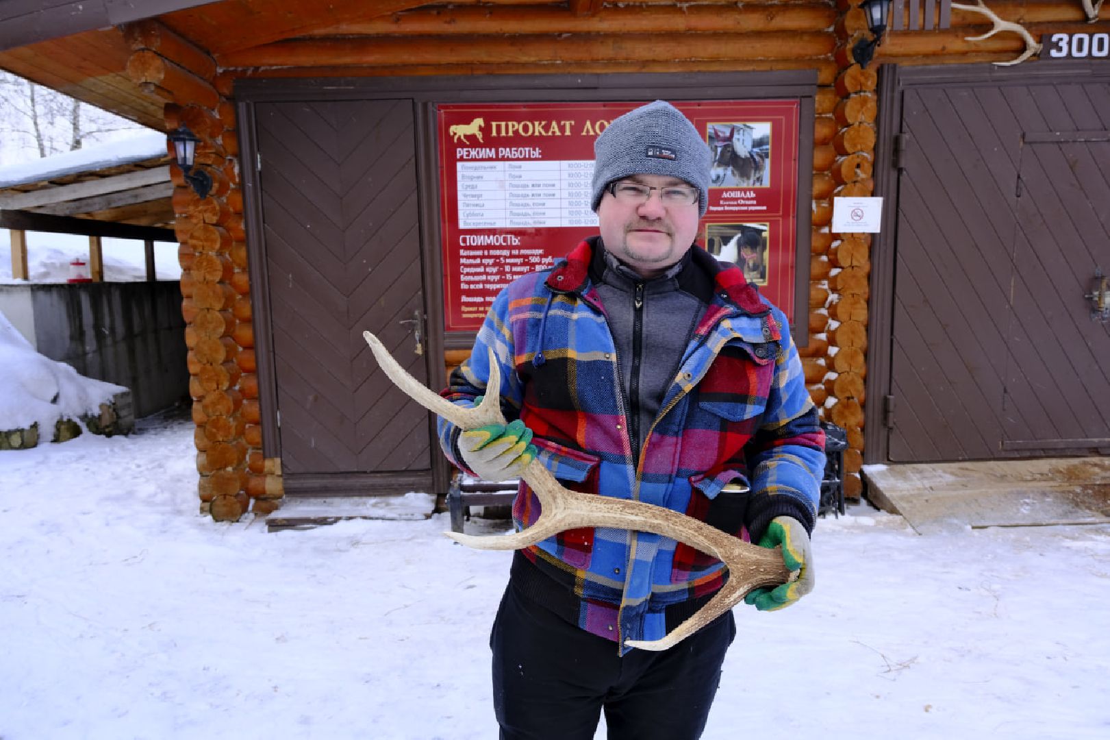 пущино, серпухов, экология, животные, красная книга, беременность,