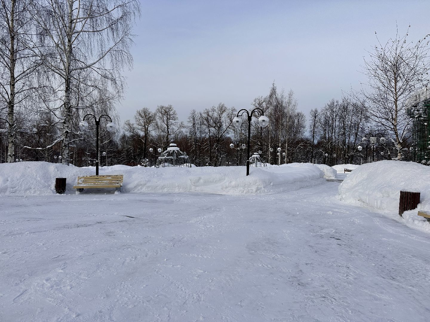 Клин, общество, снег, уборка снега, парки,