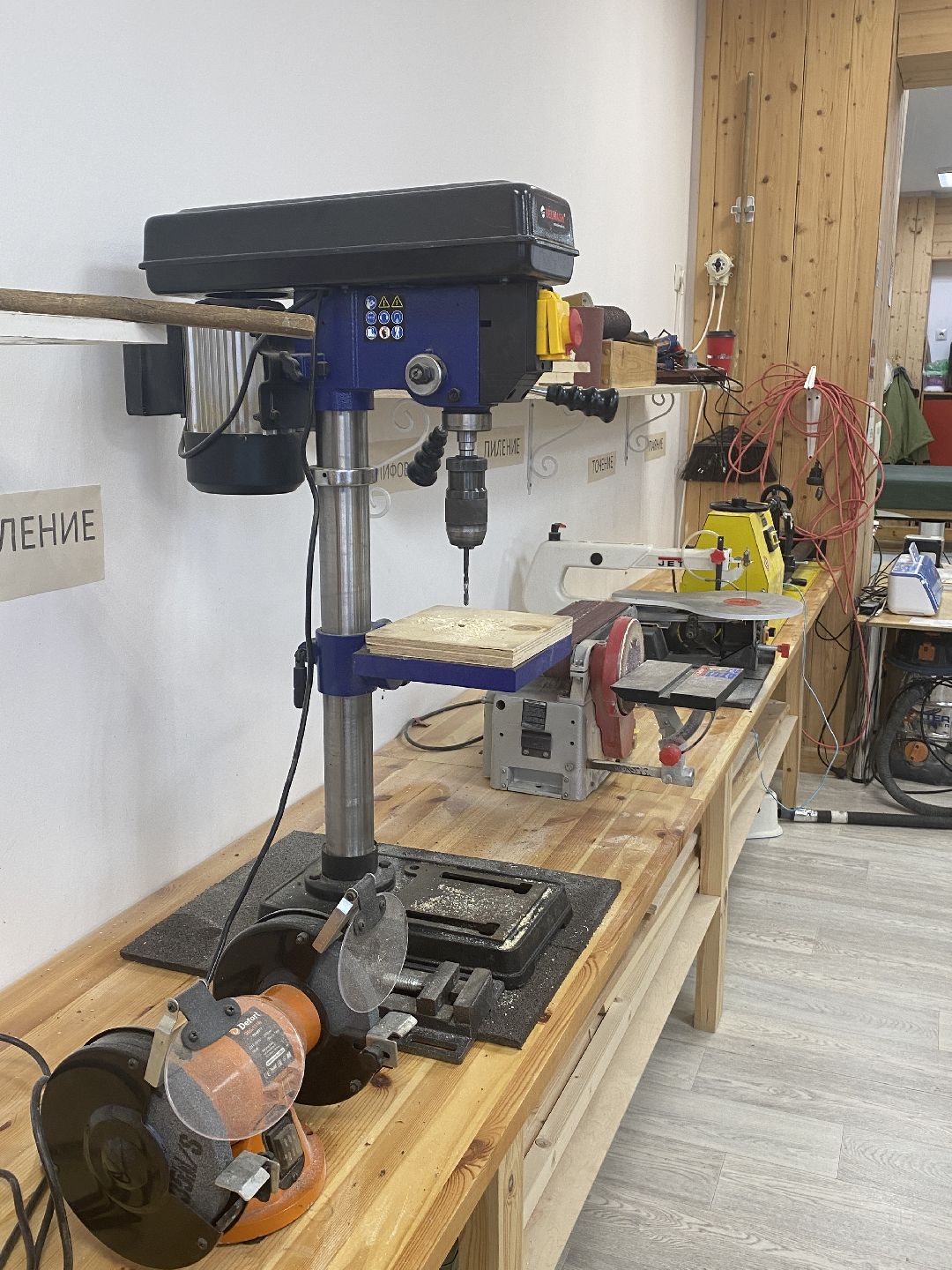 Долгопрудный, общество