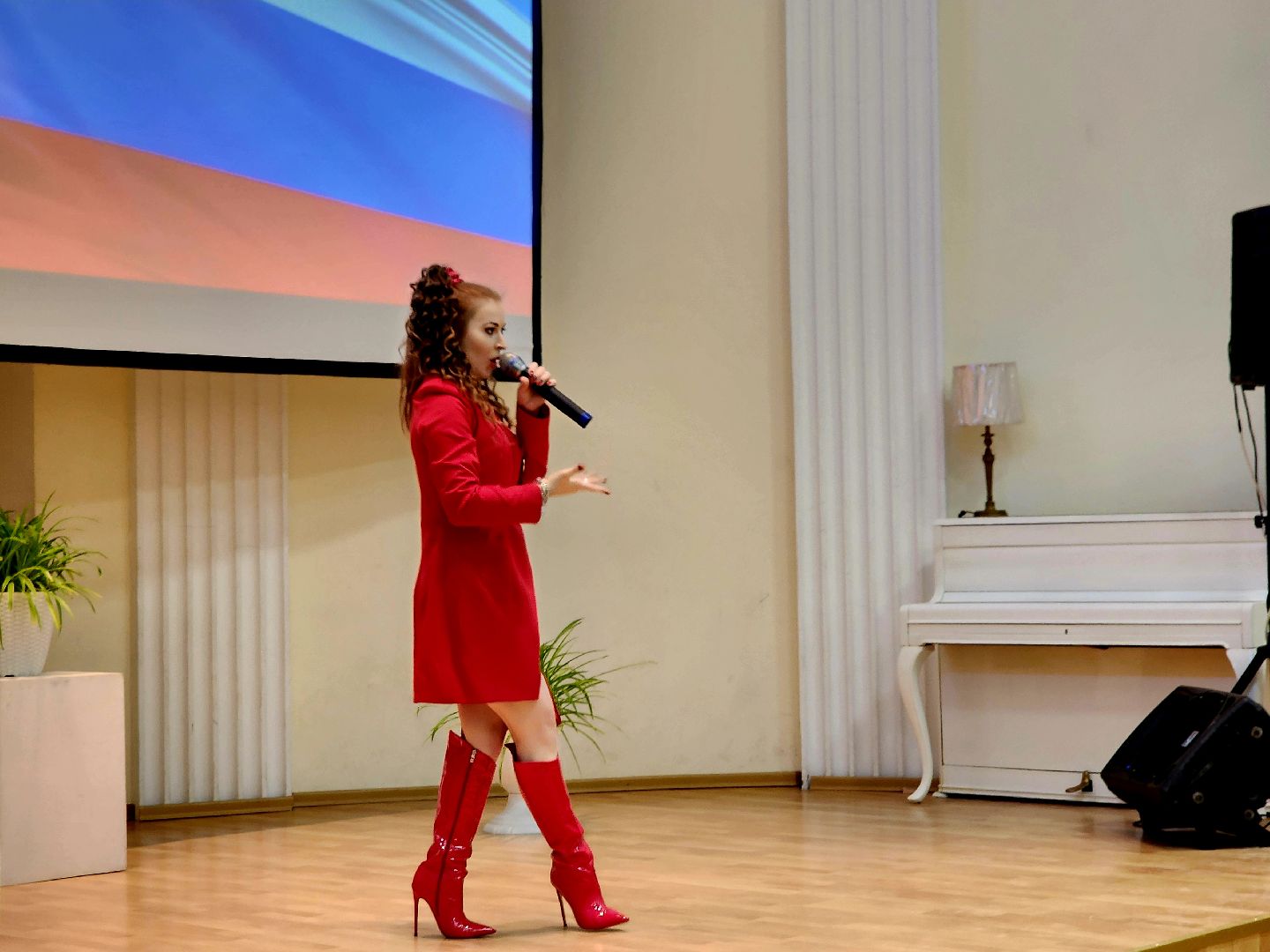 артисты в поддержку бойцов СВО, видное, патриотический концерт, культура,