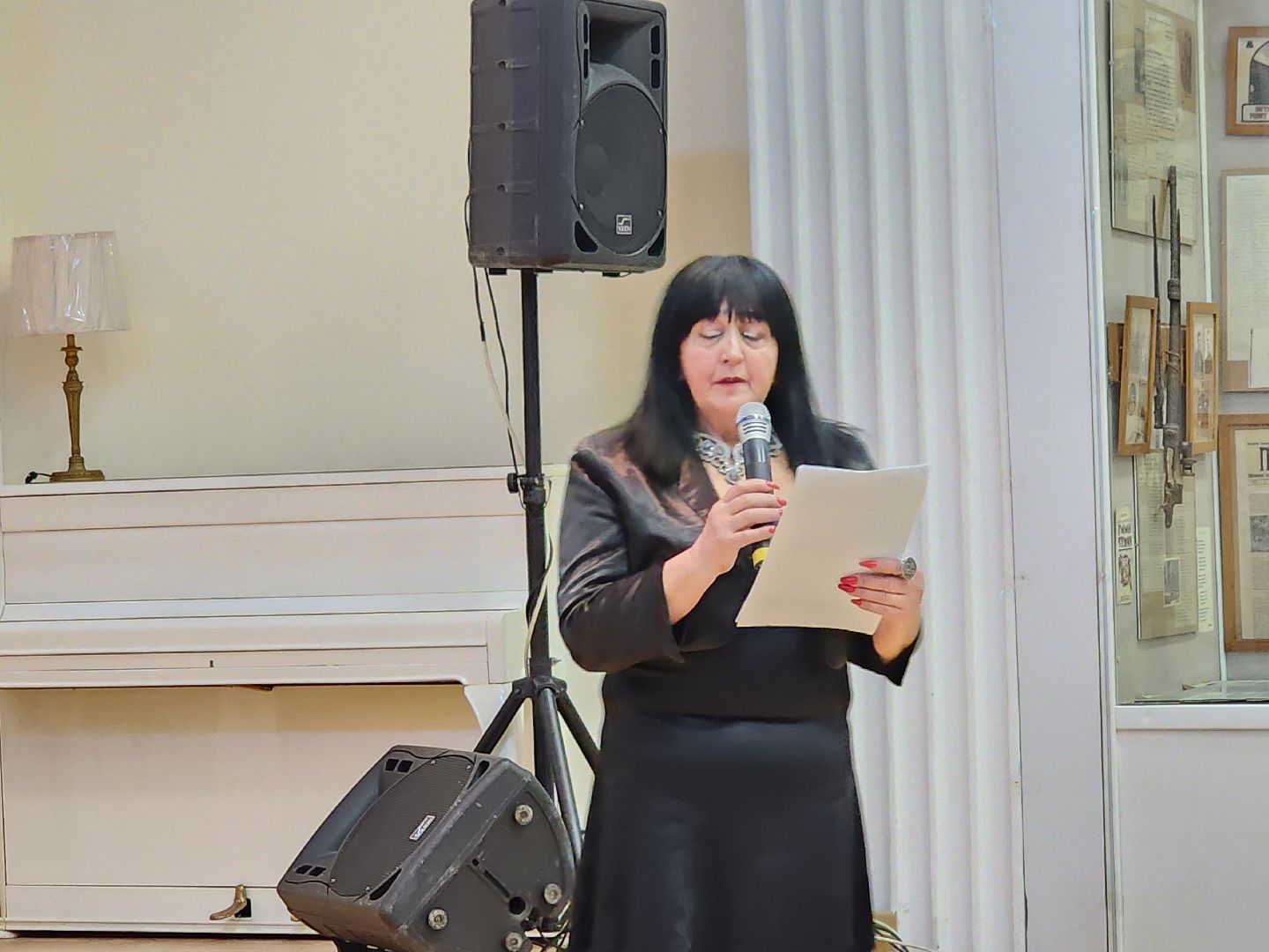 артисты в поддержку бойцов СВО, видное, патриотический концерт, культура,