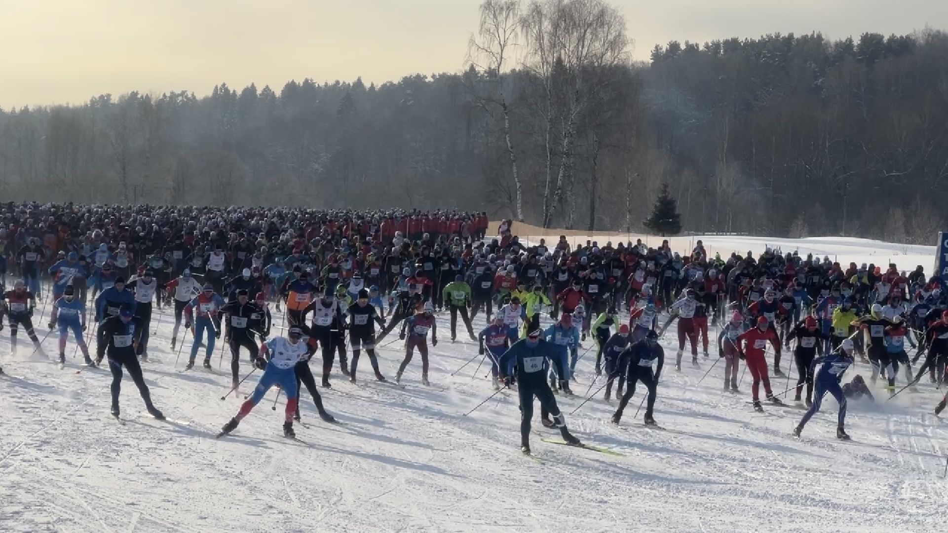 химки, спорт, лыжня россии, королёв, лыжные гонки,