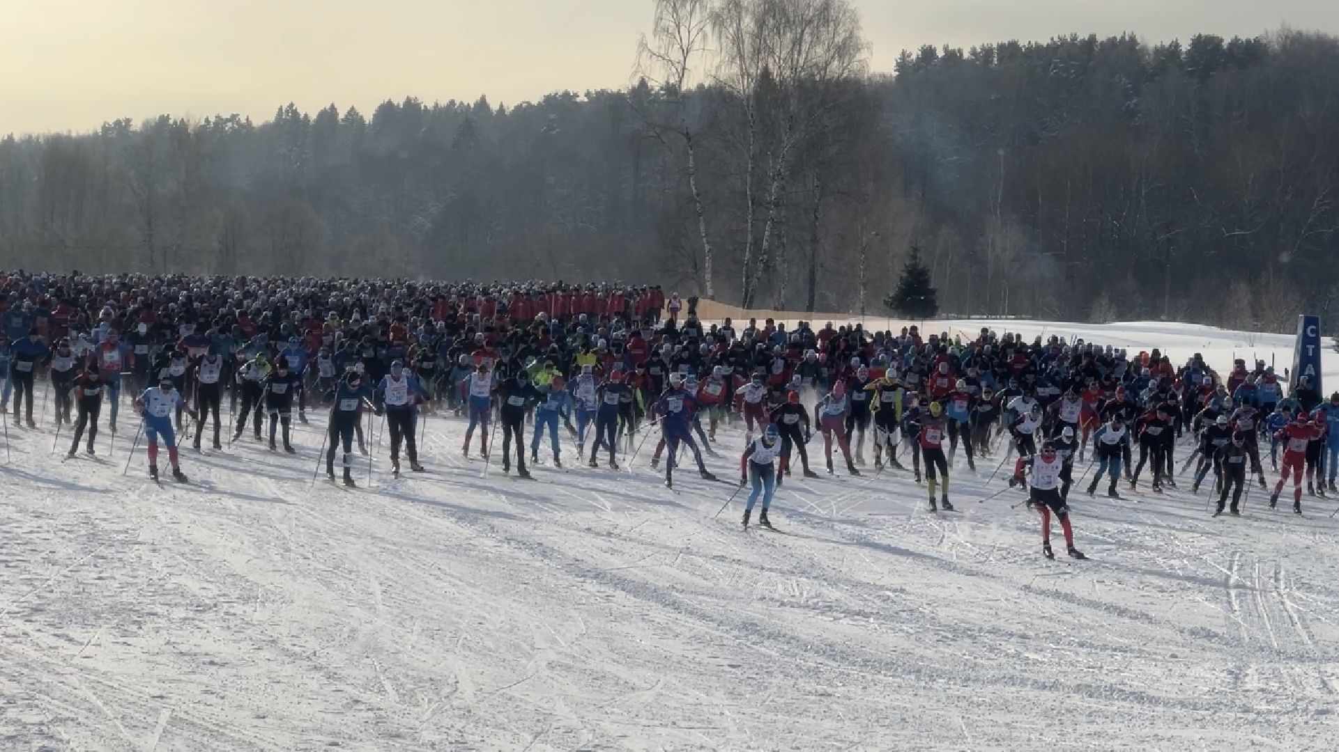 химки, лыжня россии, спорт, дети, лыжные гонки,балашиха, Коломна,