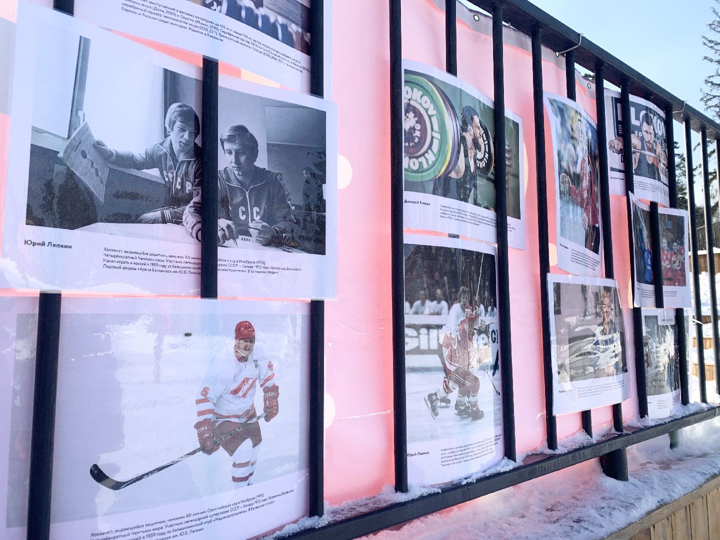 Балашиха, Подмосковье, Стартуют все, Парки, Лыжня, Лыжные гонки,