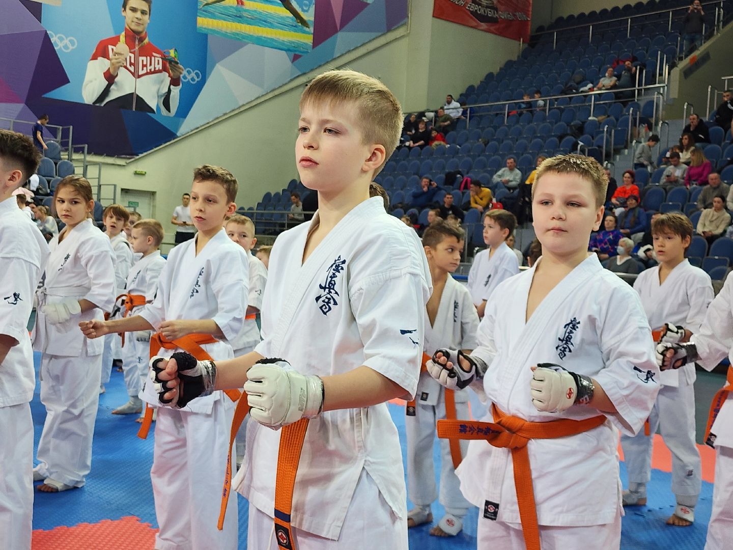 спорт ленинского, спорт в подмосковье,