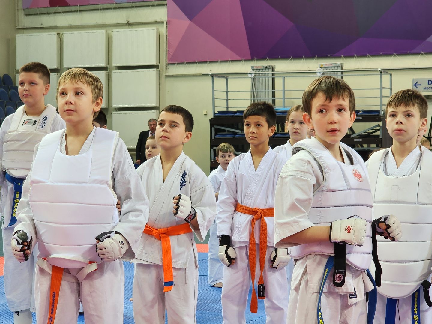 спорт ленинского, спорт в подмосковье,