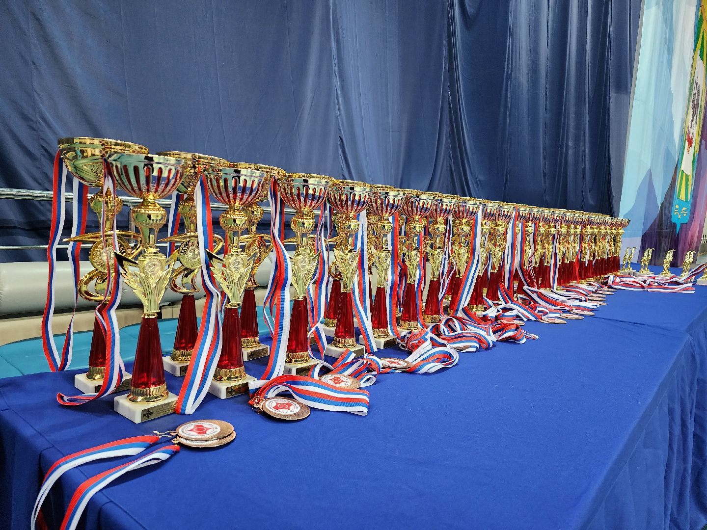 спорт ленинского, спорт в подмосковье,