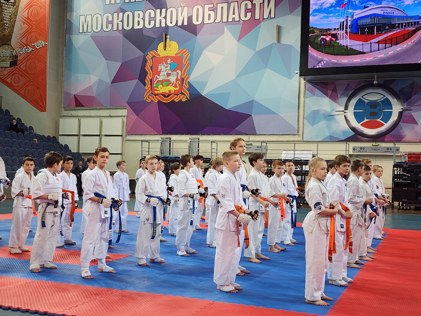 спорт ленинского, спорт в подмосковье,