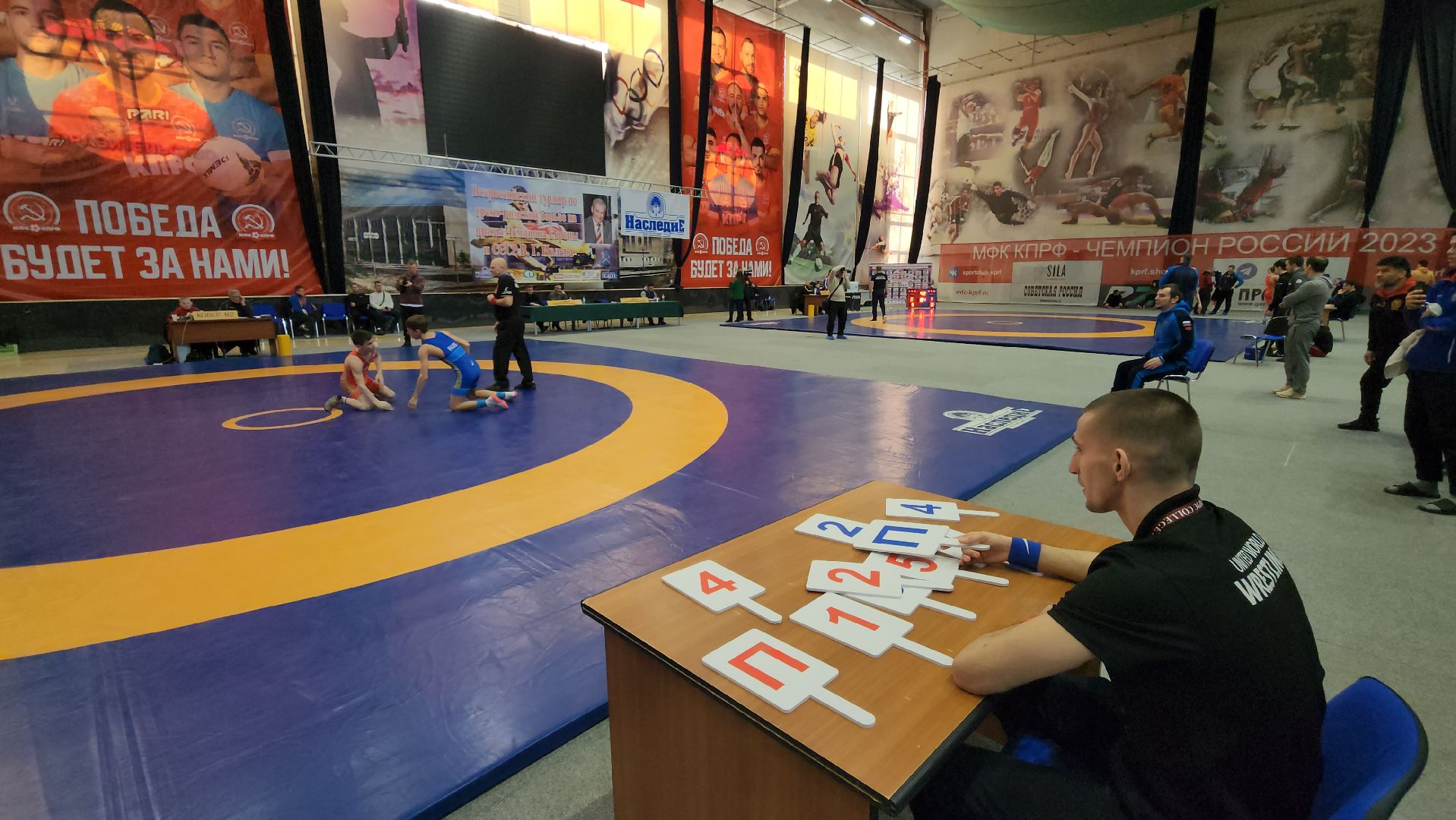 подольск, борьба, спорт,