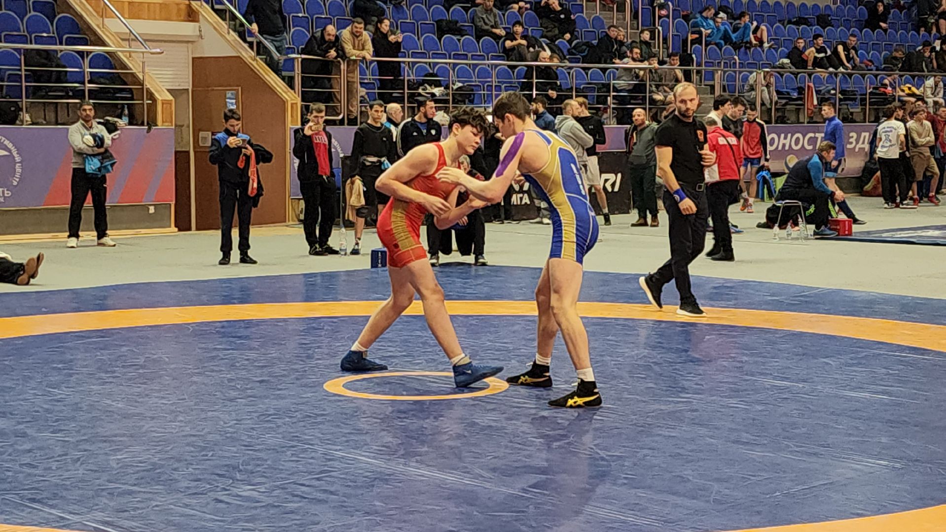 подольск, борьба, спорт,