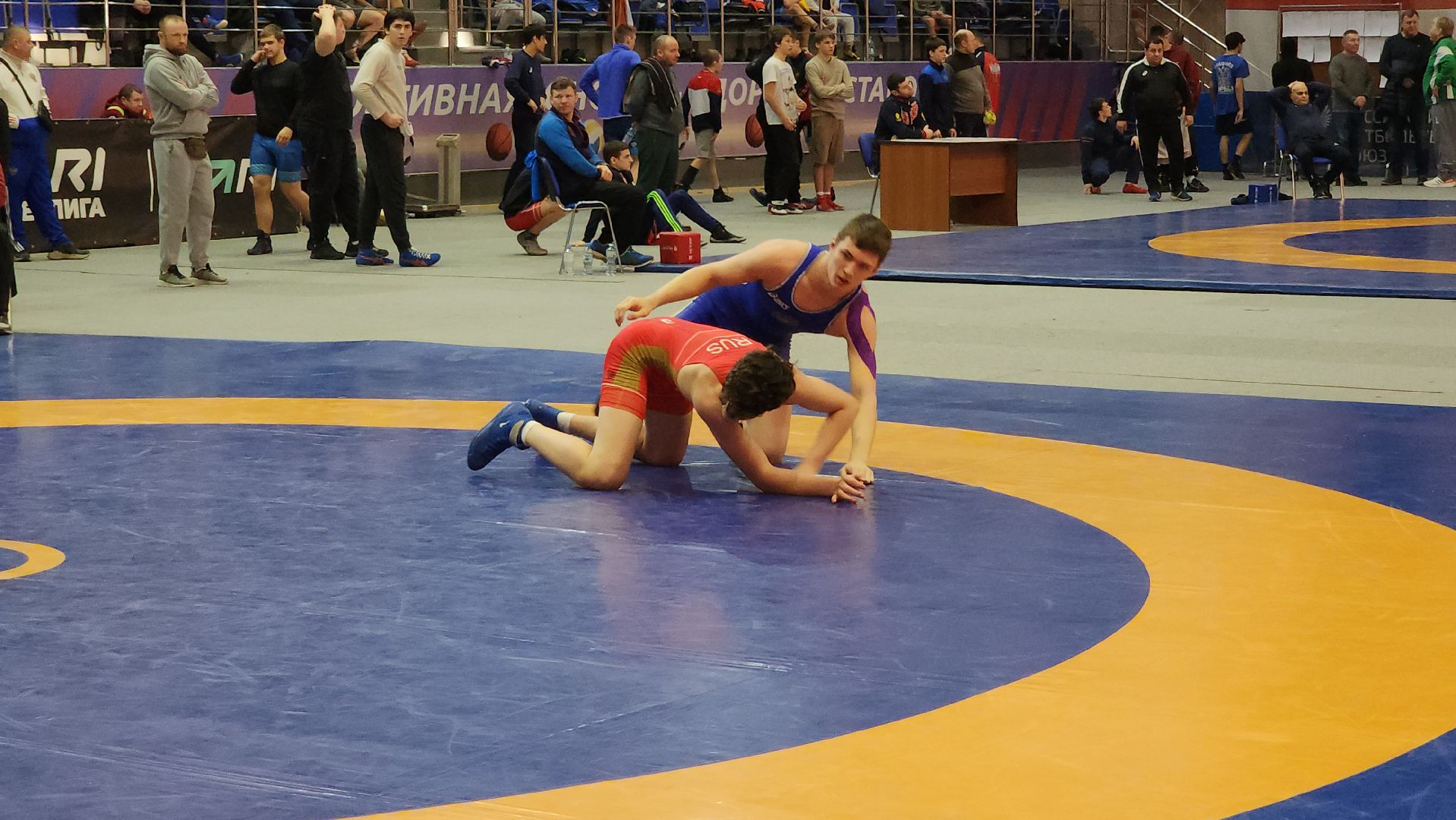 подольск, борьба, спорт,