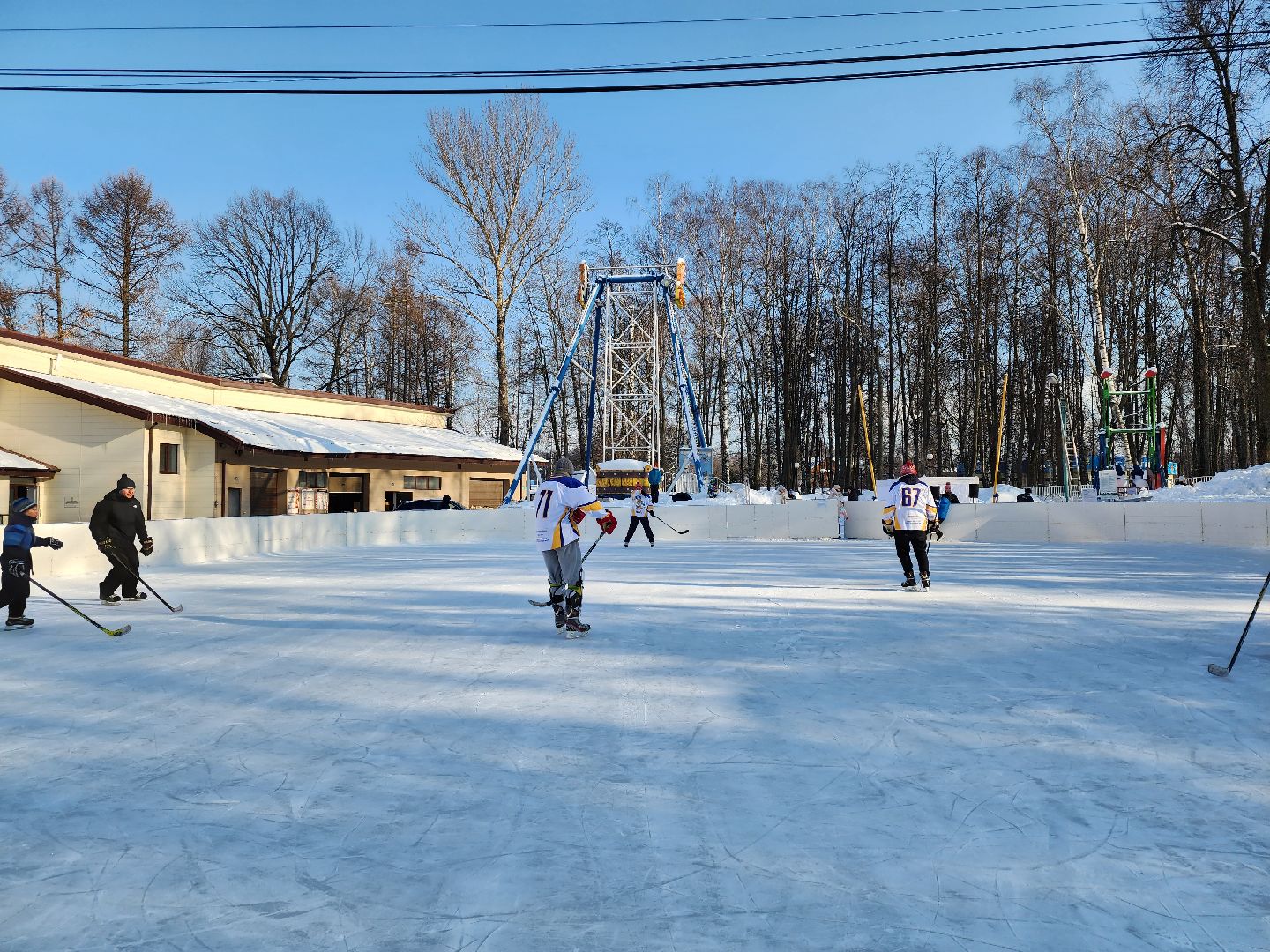 хоккейная команда, металлург,хоккей в парке, видное, спорт подмосковья,