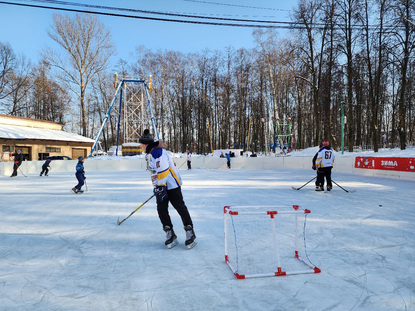 хоккейная команда, металлург,хоккей в парке, видное, спорт подмосковья,
