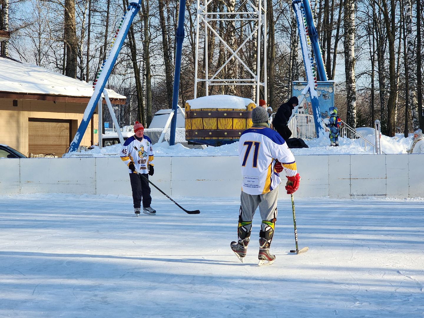 хоккейная команда, металлург,хоккей в парке, видное, спорт подмосковья,