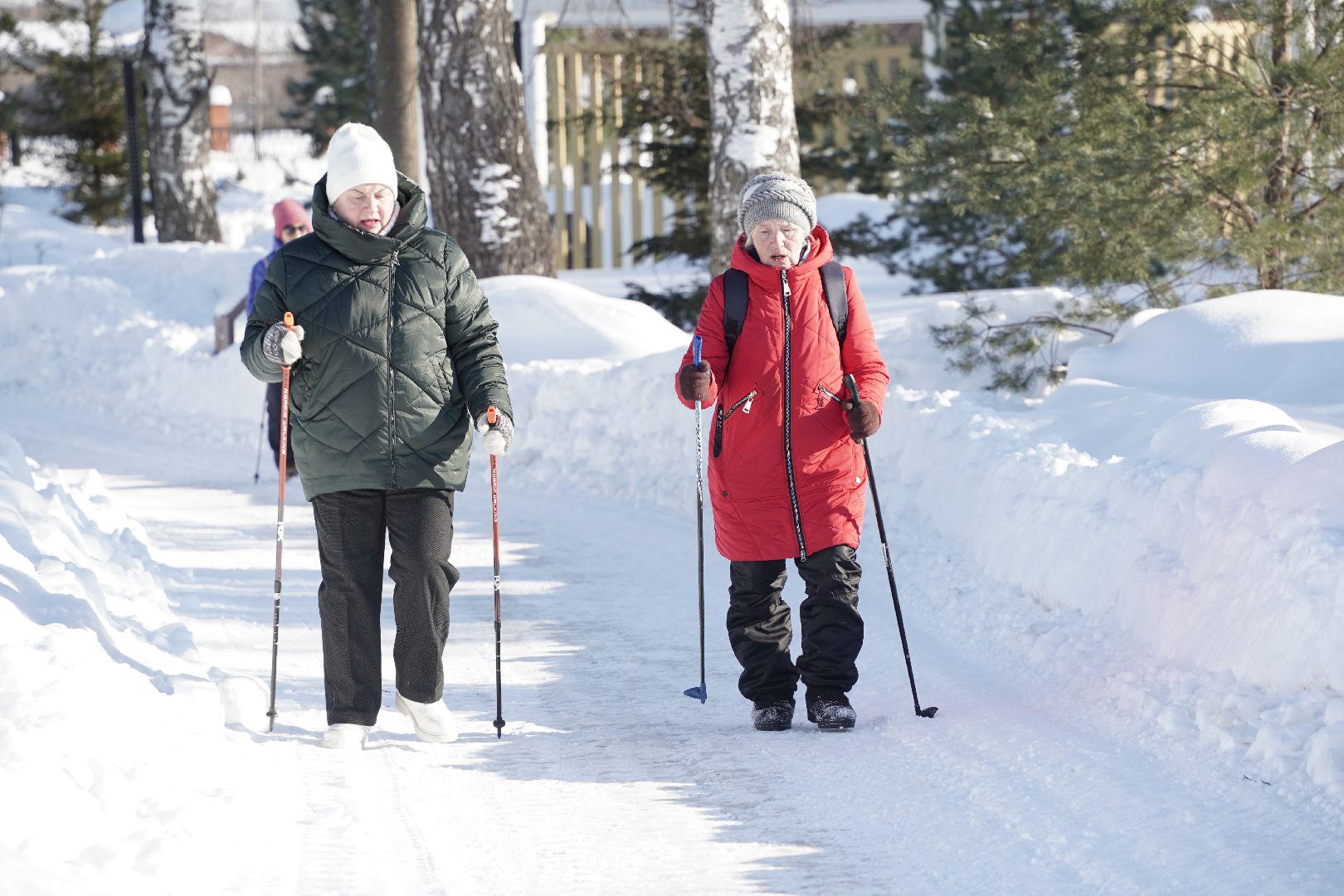 Рошаль, стартуют все, парк Крестов брод, зима в Подмомсковье, зима в парке, Большая Шатура, скандинавская ходьба, футбол на снегу, хоккей на снегу, спорт, активное долголетие,
