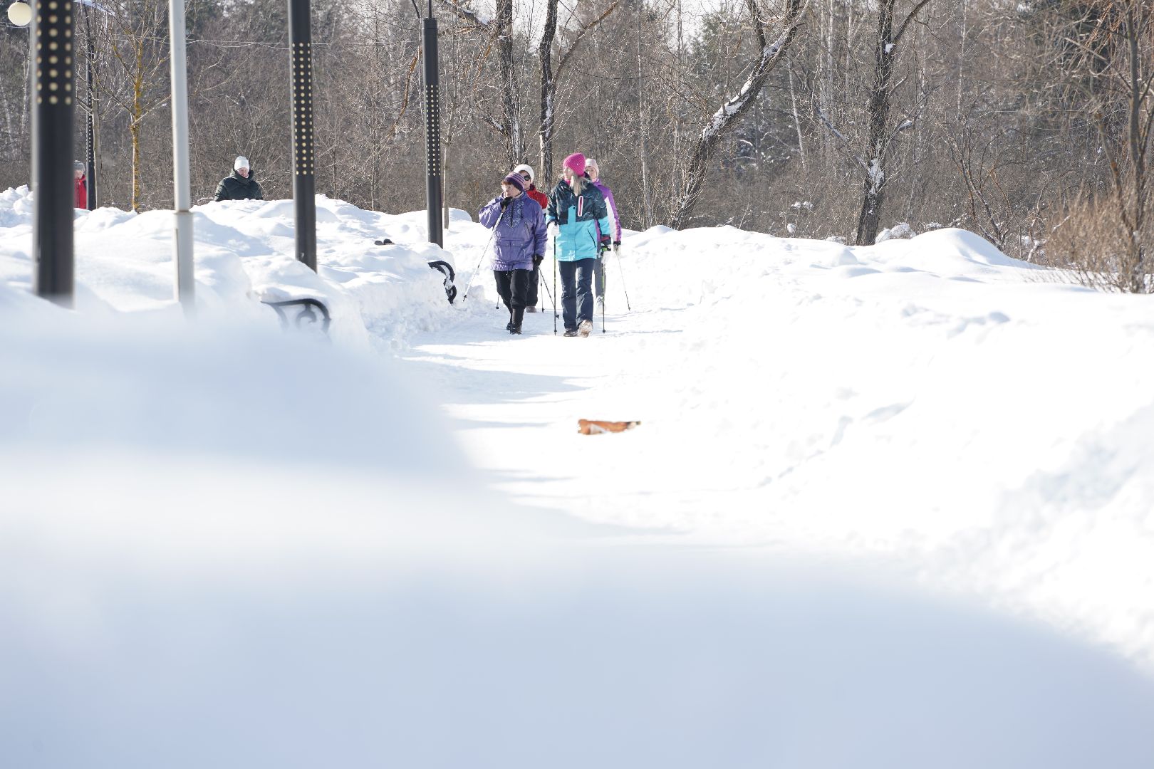Рошаль, стартуют все, парк Крестов брод, зима в Подмомсковье, зима в парке, Большая Шатура, скандинавская ходьба, футбол на снегу, хоккей на снегу, спорт, активное долголетие,