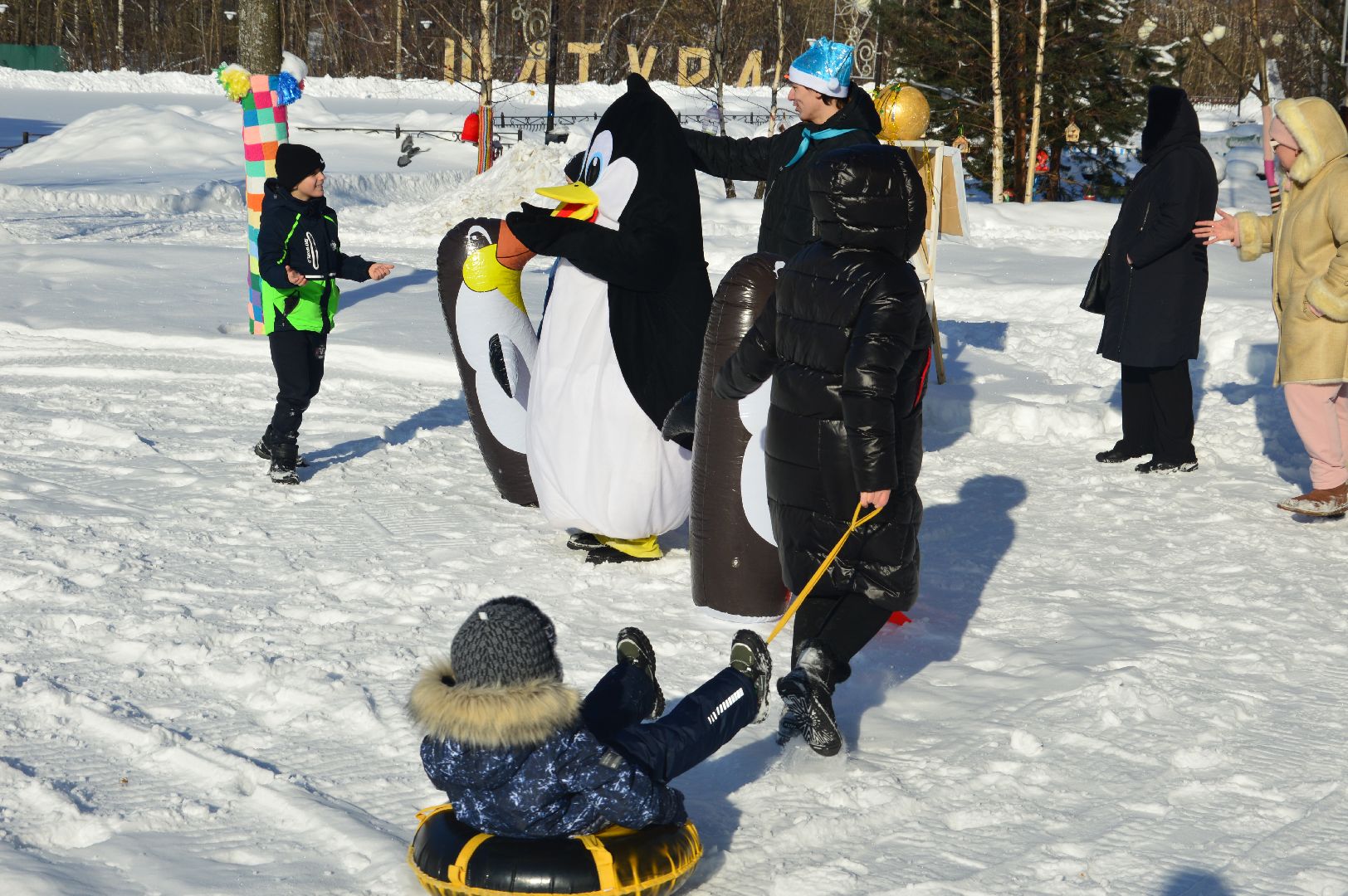 шатура, кто вперед, стартуют все, парки подмосковья, зима в подмомсковье, зима в парках, эстафета,