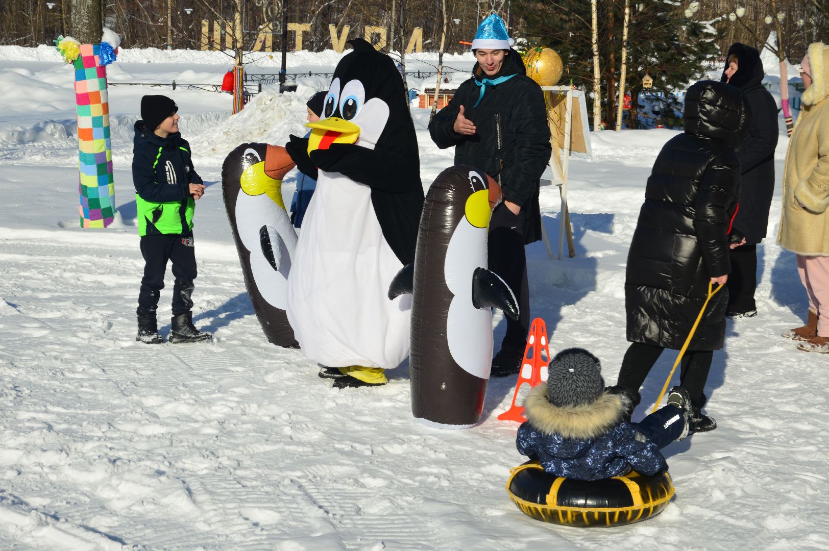 шатура, кто вперед, стартуют все, парки подмосковья, зима в подмомсковье, зима в парках, эстафета,