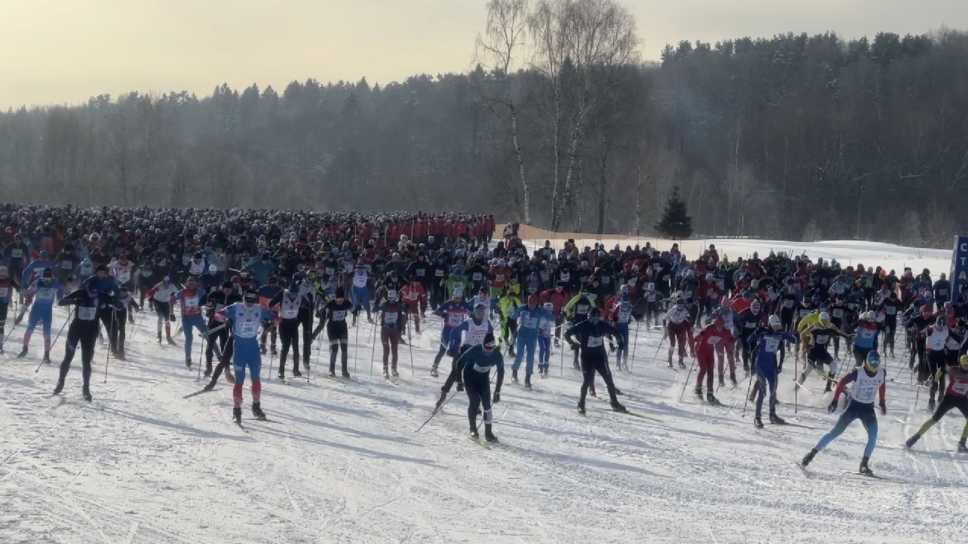 химки, лыжня россии, спорт, лыжные гонки,